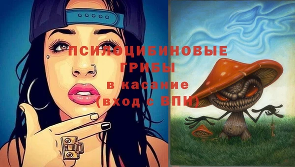 ALPHA PVP Алексин