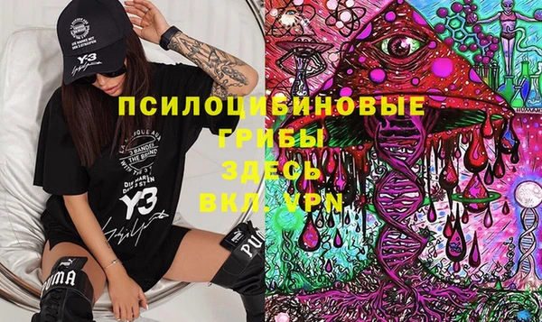 Альфа ПВП Алзамай