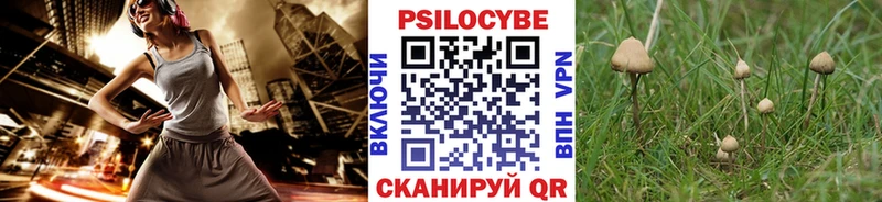 Купить закладки  Сухой Лог  Псилоцибиновые грибы мухоморы 